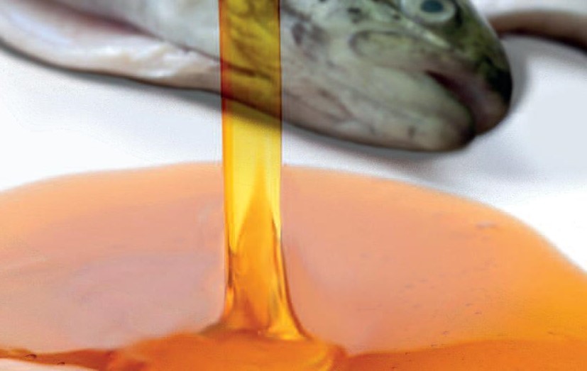 第13页-120 Capítulo 13-120